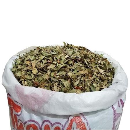 Bozkırım Yaban Mersini Yaprağı 1000gr